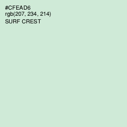 #CFEAD6 - Surf Crest Color Image